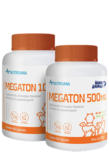 MEGATON (CHONDROITIN SULPHATE AND GLUCOSAMINE SULPHATE)