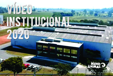 Institucional 2020