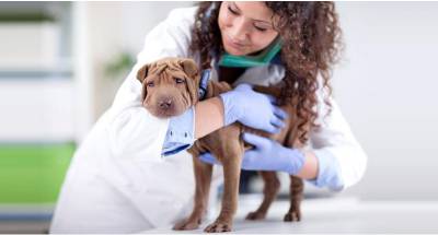 HEP PÓ X  HEP PLUS COMPRIMIDOS - NUTRISANA